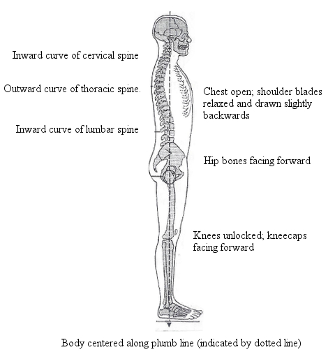 Ankle, Knee & Hip Harmony - Jenn Hicks